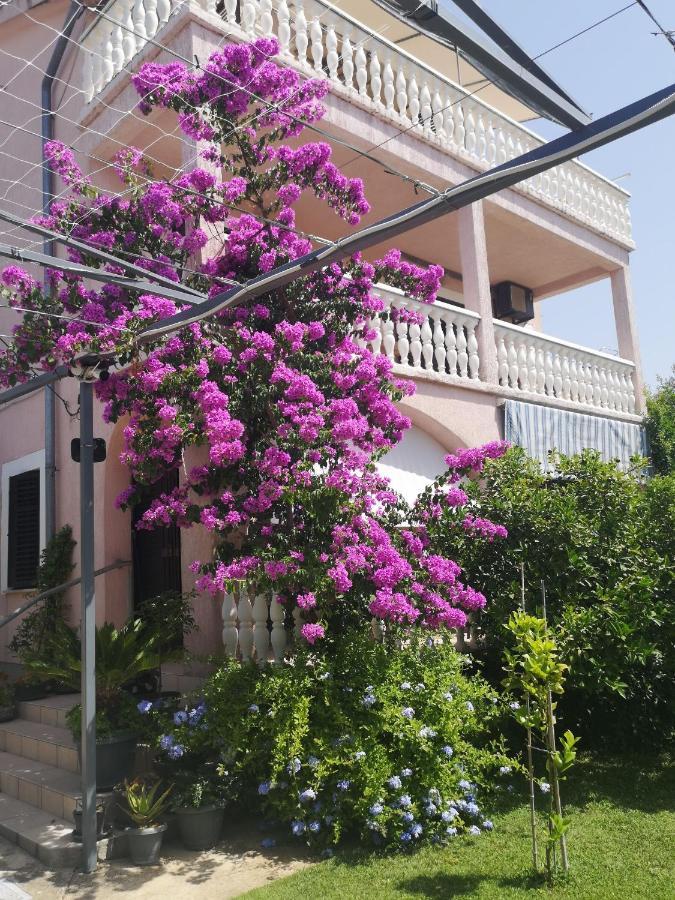 Apartments Daniela Водице Екстер'єр фото