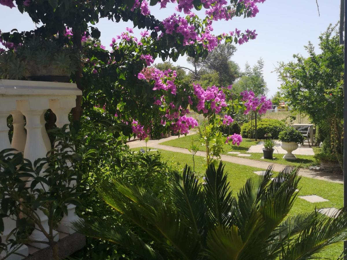 Apartments Daniela Водице Екстер'єр фото