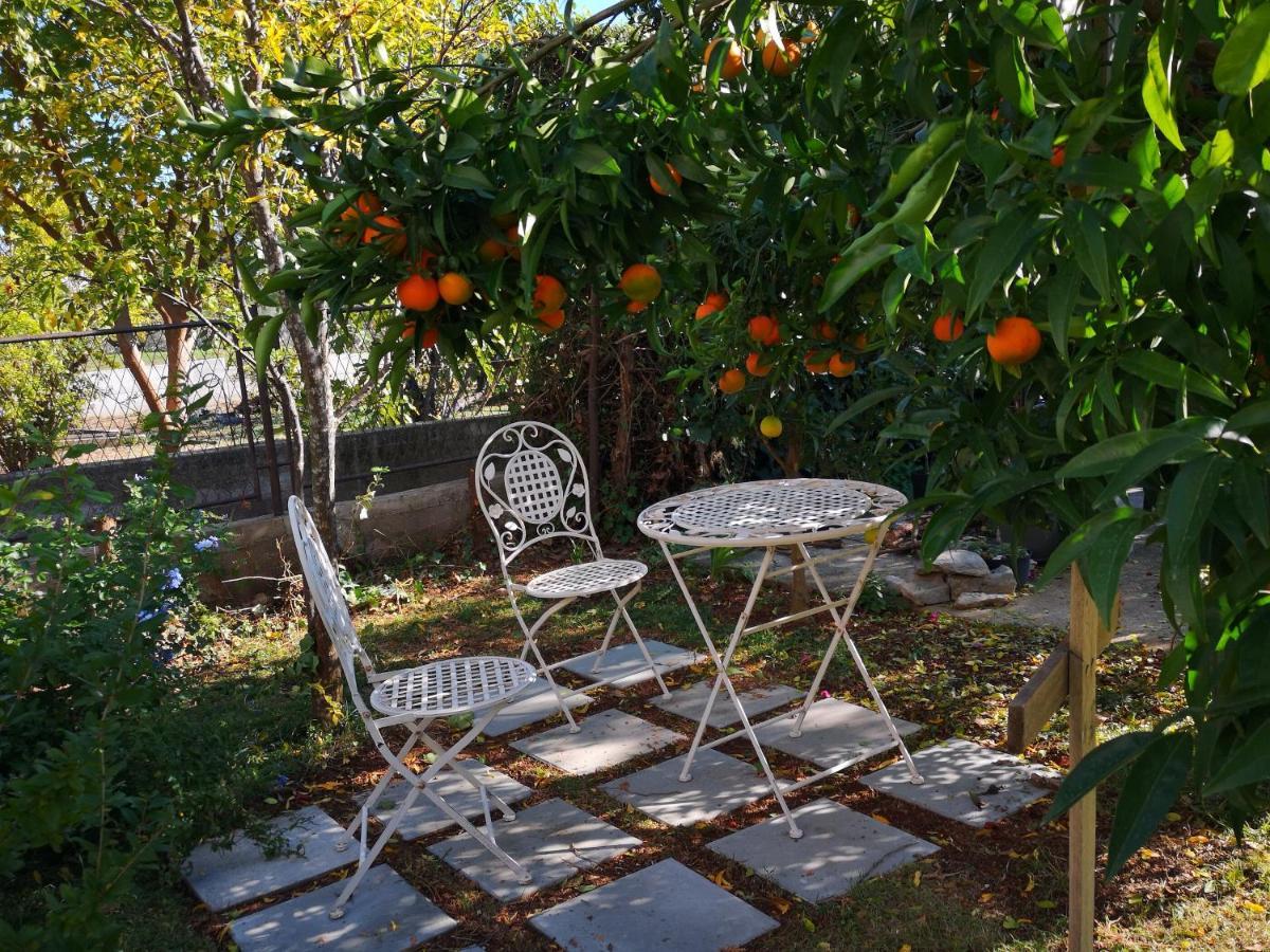 Apartments Daniela Водице Екстер'єр фото